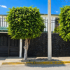 venta-9884d0f739-5-1100 Casa en Venta Jardines de Atizapán, Atizapán de Zaragoza
